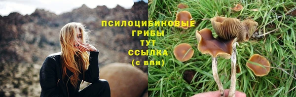 таблы Абинск