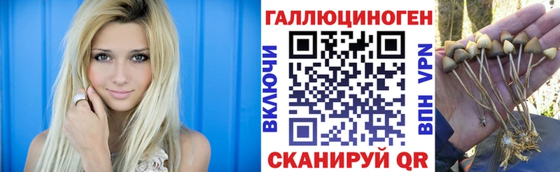 Псилоцибиновые грибы прущие грибы  Чебаркуль 